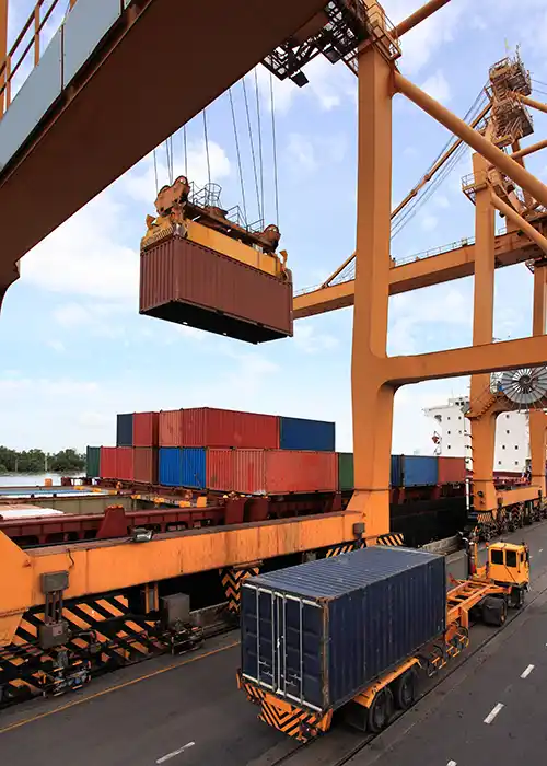 Logistics Management and Customs Procedures
