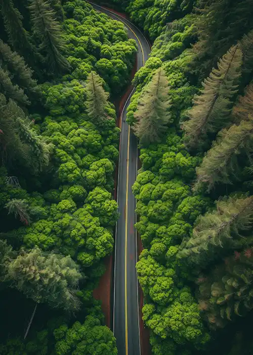 Environmentally conscious logistics with efficient transportation systems