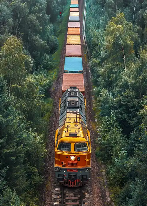 Fast delivery with economical cargo options