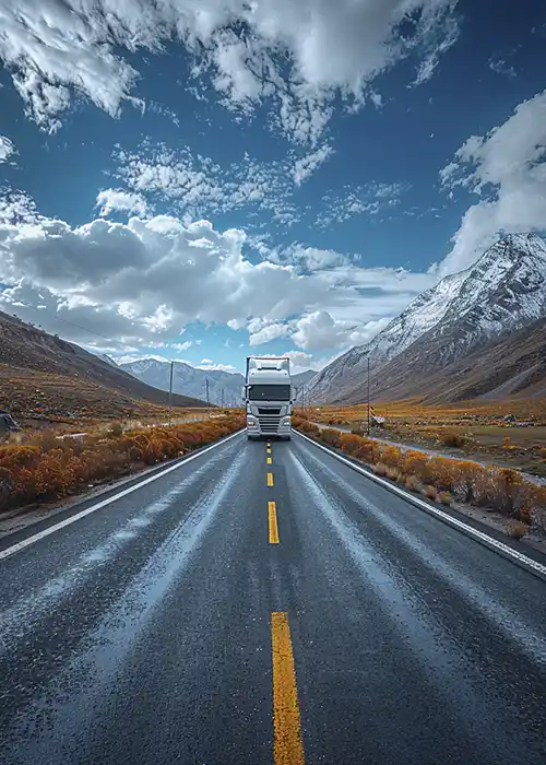 International cargo tracking and delivery process